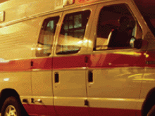 Emergency Services Sector
