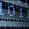 Report Cyber Incidents
