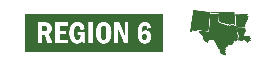 Region 6