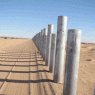 Border fence