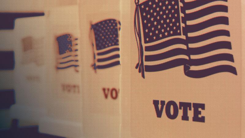 Row of Election Booths