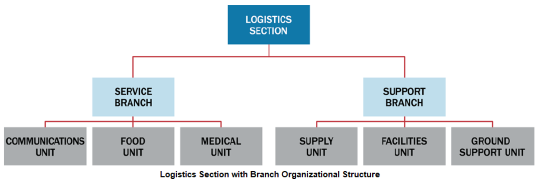 Org chart of a logistics section with branch organizational structure