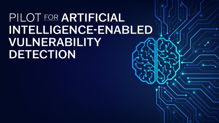 Pilot for Artificial Intelligence-Enabled Vulnerability Detection